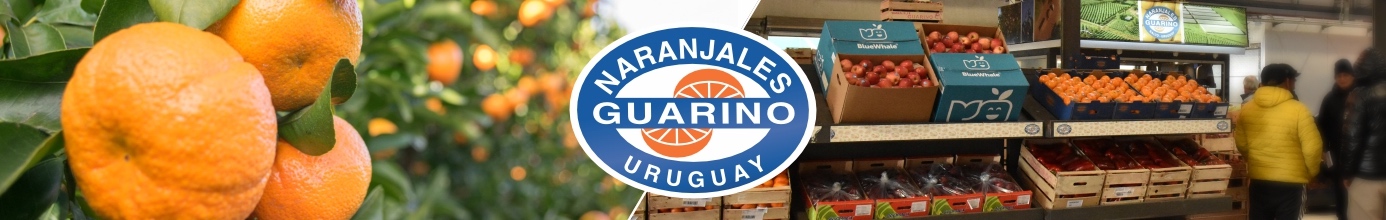 Naranjales Guarino 