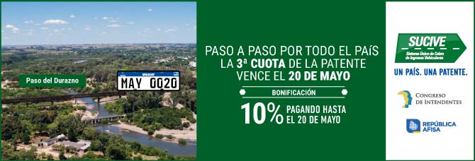 Sucive Mayo 2026