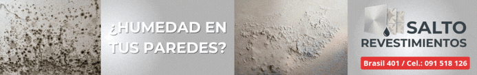 ¿HUMEDAD EN TUS PAREDES?